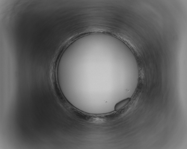 X0000102800352200808180937