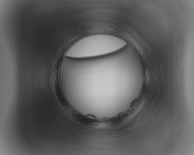 X0000102800356200808180937