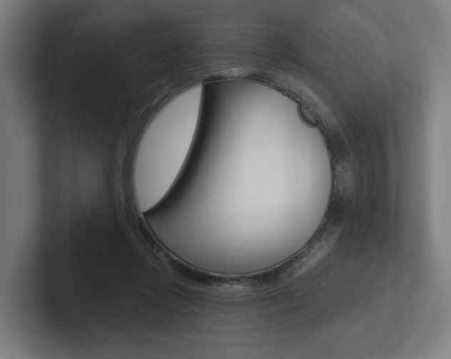 X0000102800358200808180937