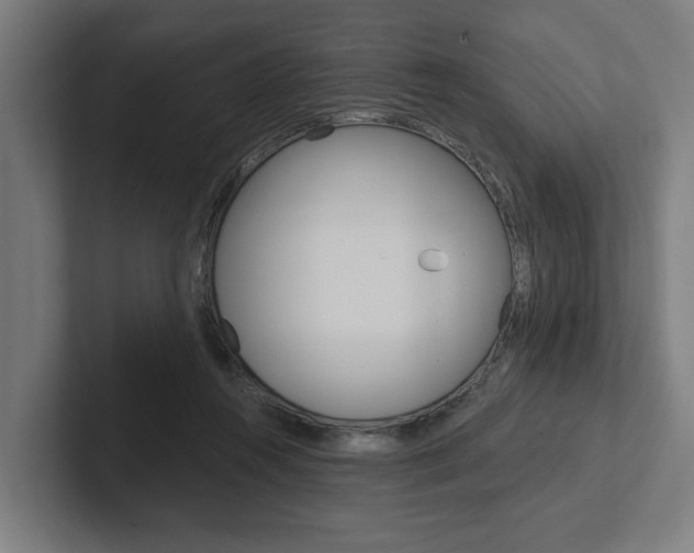 X0000102800360200808180937