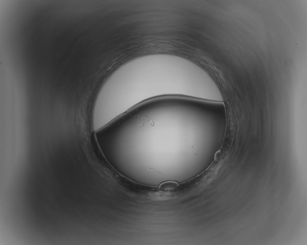 X0000102800362200808180937