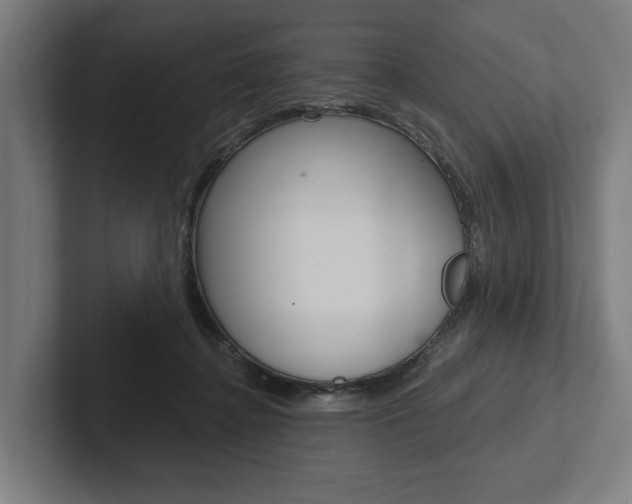 X0000102800364200808180937