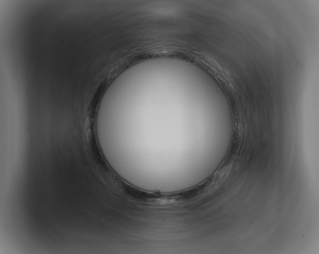 X0000102800366200808180937
