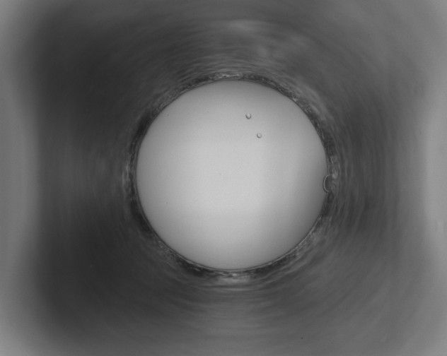 X0000102800369200808180937