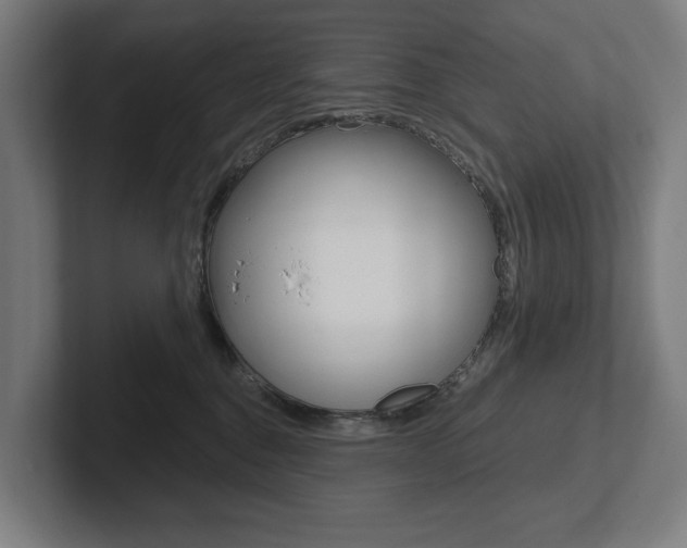 X0000102800376200808180937