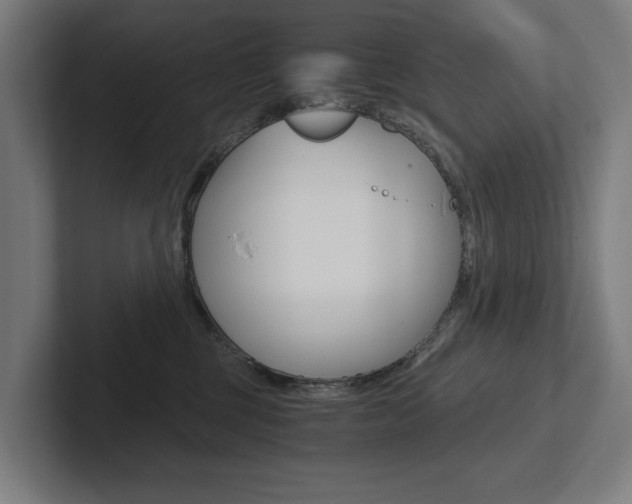 X0000102800377200808180937