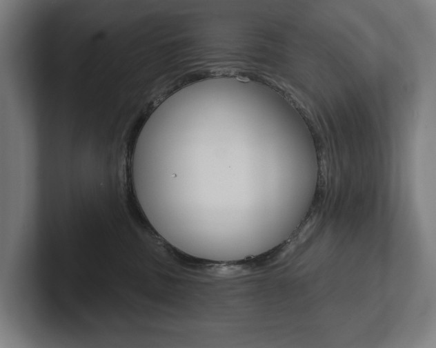 X0000102800379200808180937