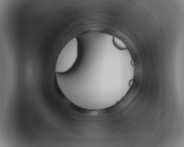 X0000102800382200808180937