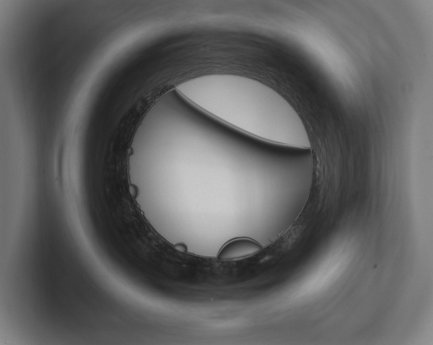 X0000102800383200808180937