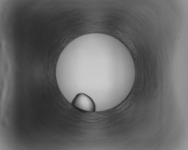 X0000102800384200808180937
