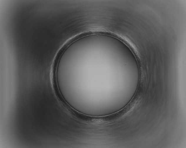 X0000102800391200808180937
