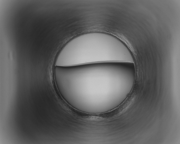 X0000102800393200808180937