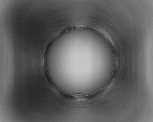 X0000102800401200808180937