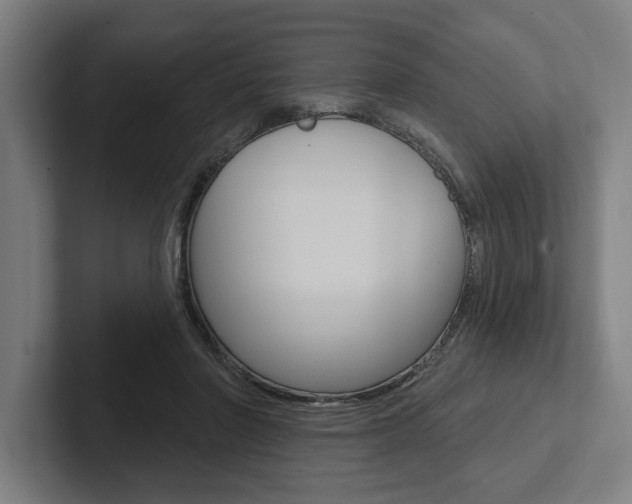 X0000102800406200808180936