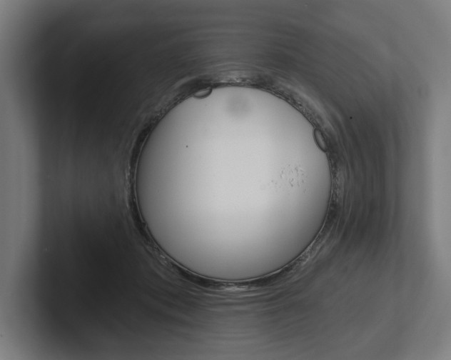X0000102800413200808180936