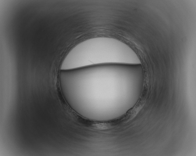 X0000102800417200808180936