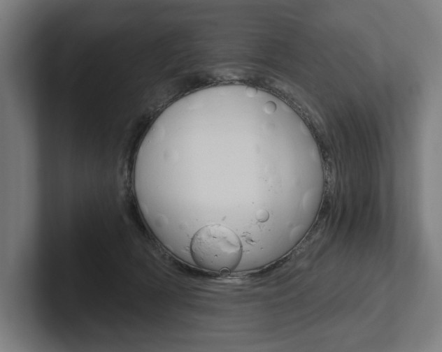 X0000102800418200808180936
