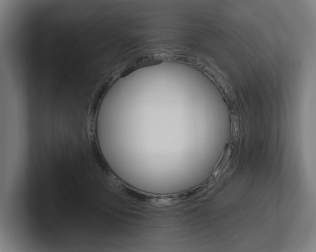 X0000102800419200808180936