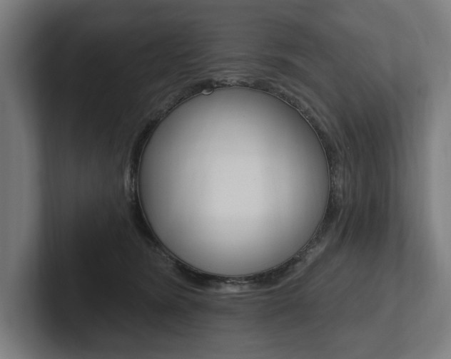 X0000102800420200808180936