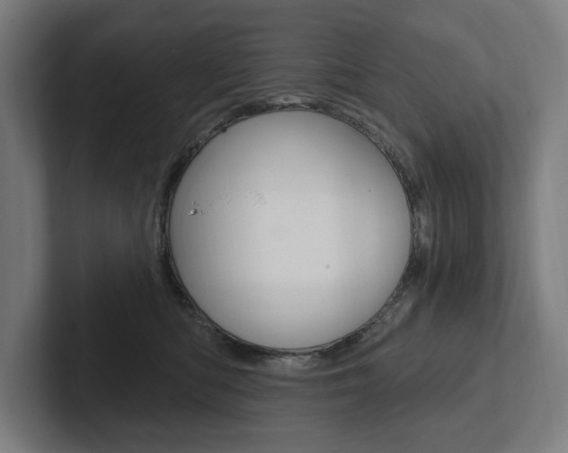 X0000102800422200808180936