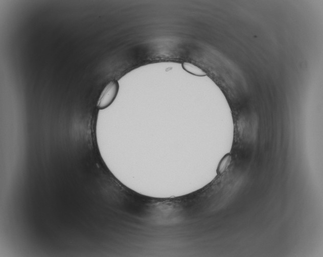 X0000102800423200808180936