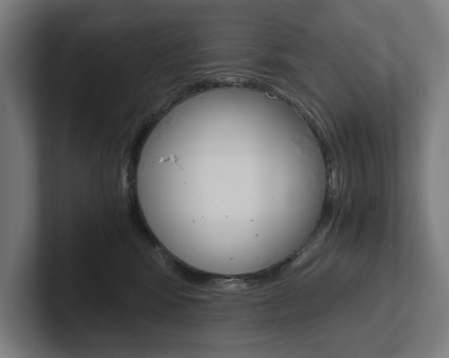 X0000102800424200808180936