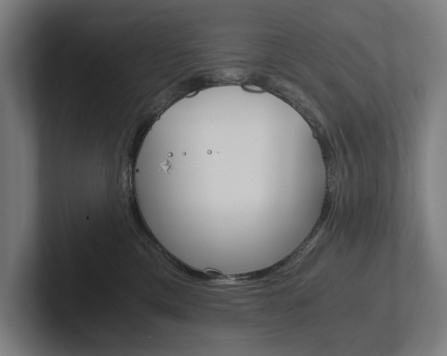 X0000102800425200808180936