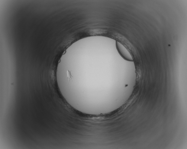 X0000102800426200808180936