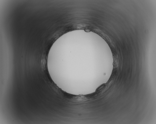 X0000102800427200808180936