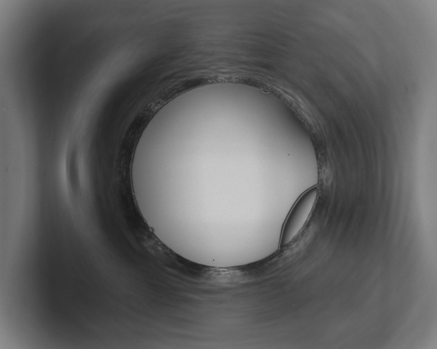 X0000102800429200808180936