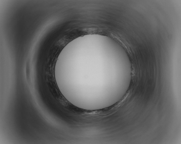 X0000102800430200808180936