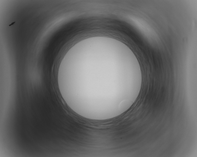 X0000102800431200808180936