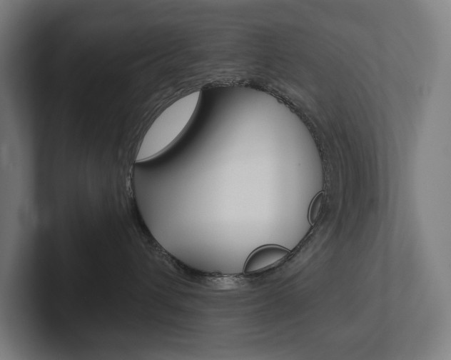 X0000102800432200808180936