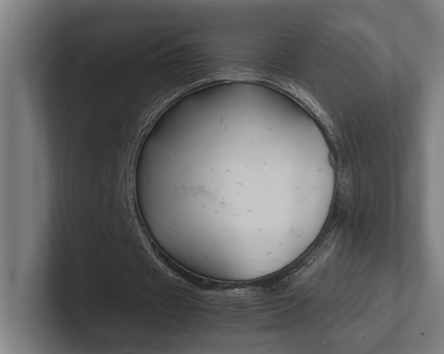 X0000102800433200808180936