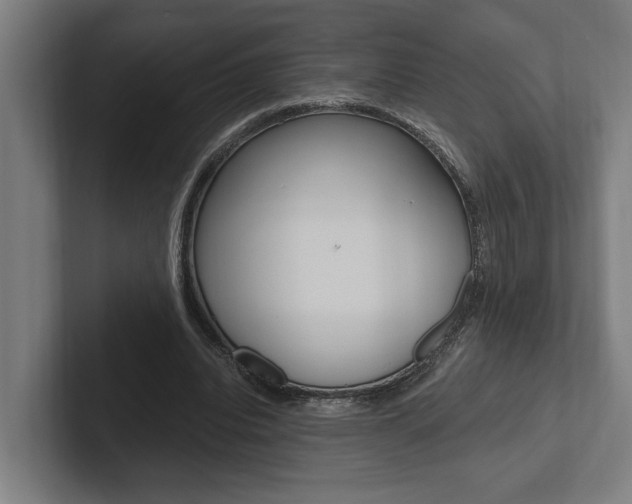 X0000102800440200808180936