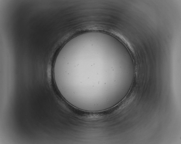 X0000102800445200808180936