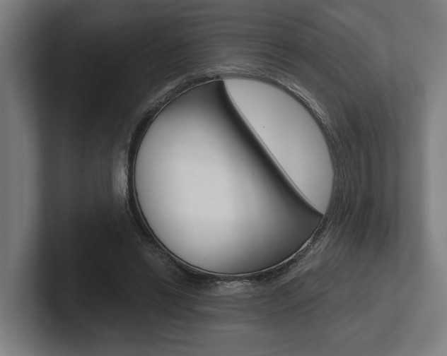 X0000102800446200808180936