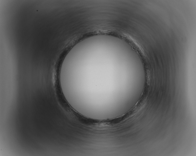 X0000102800451200808180936