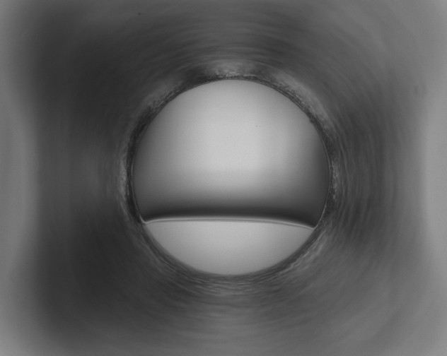 X0000102800453200808180936