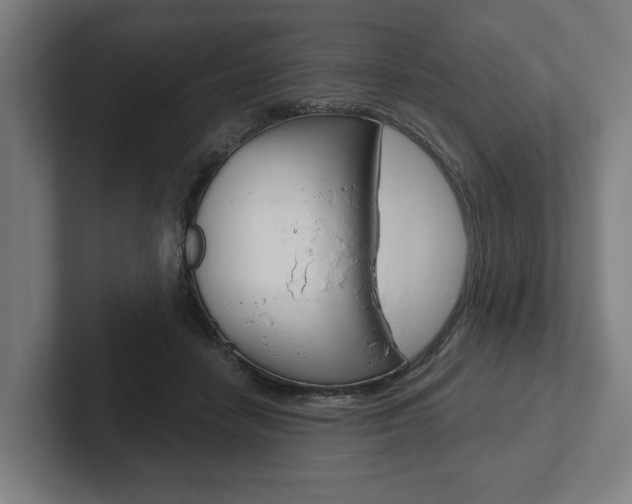 X0000102800458200808180936