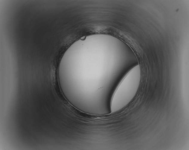 X0000102800461200808180936