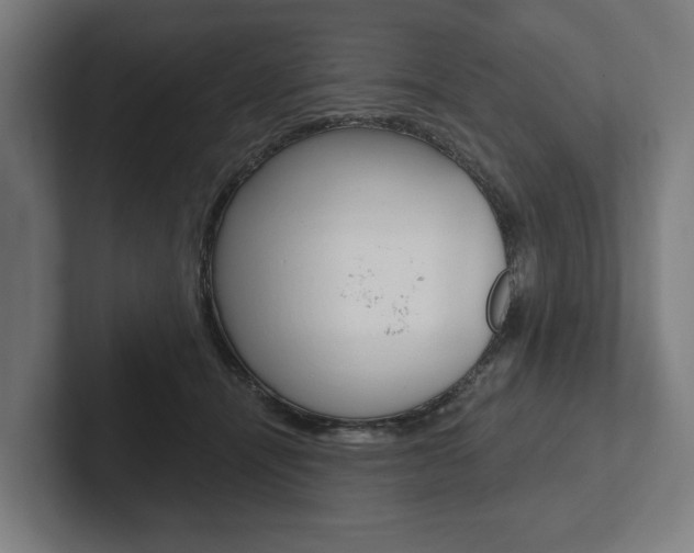 X0000102800464200808180936