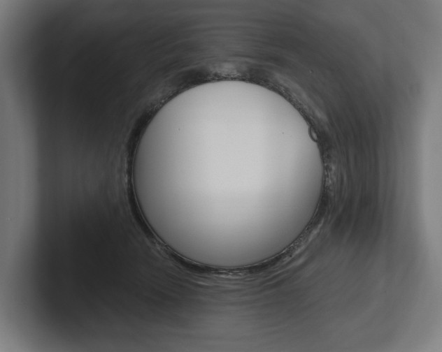X0000102800466200808180936