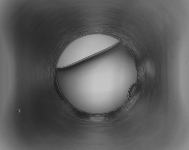X0000102800470200808180936