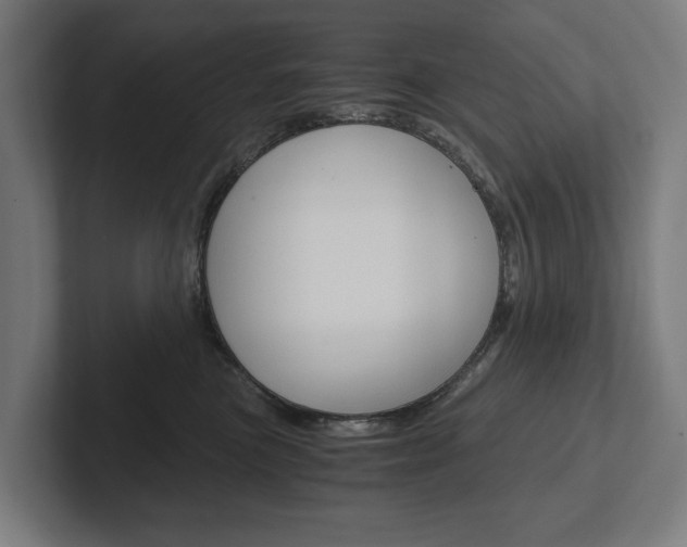 X0000102800473200808180936