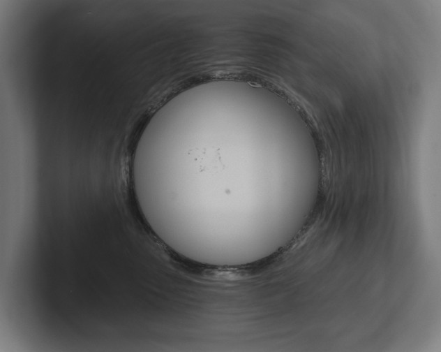 X0000102800475200808180936