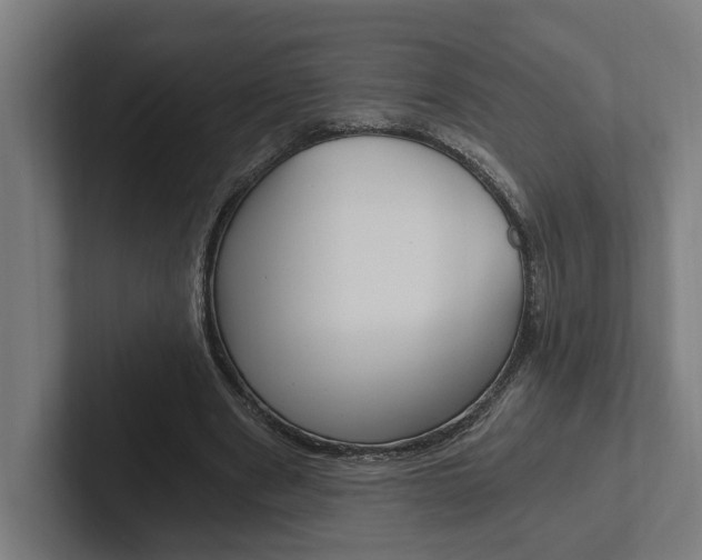 X0000102800489200808180935