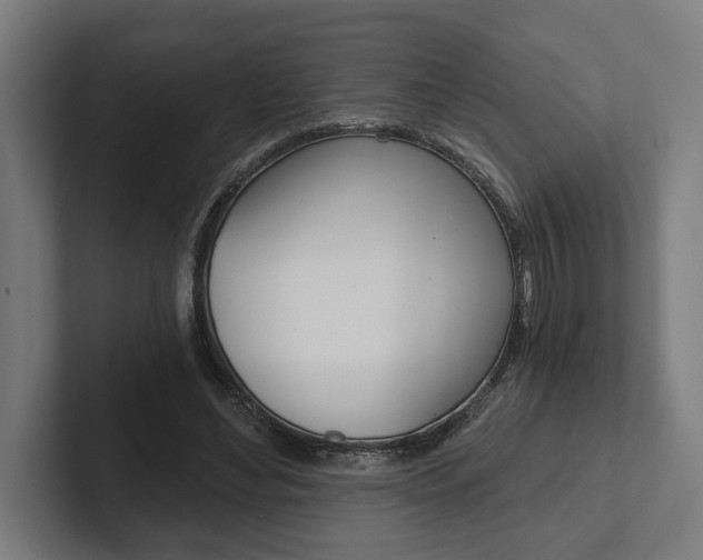 X0000102800492200808180935