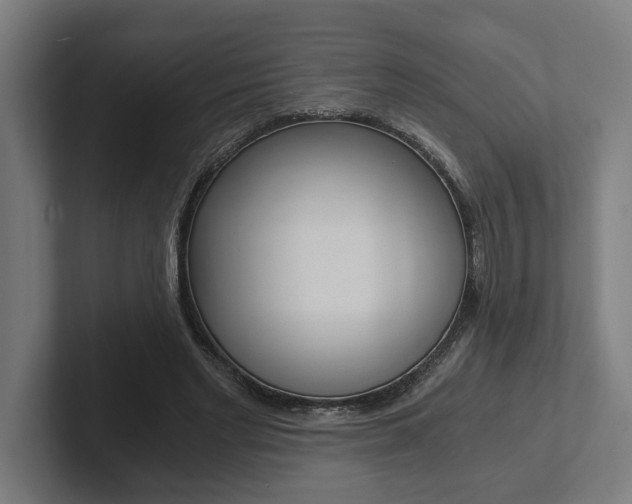 X0000102800493200808180935