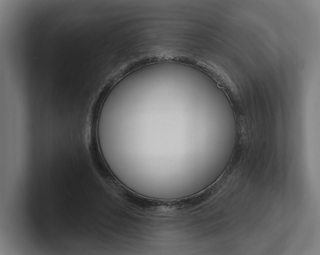 X0000102800496200808180935